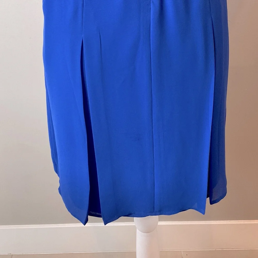 Naked Zebra Dress - Picture 5 of 5